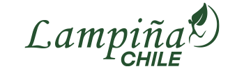 Lampiña Chile